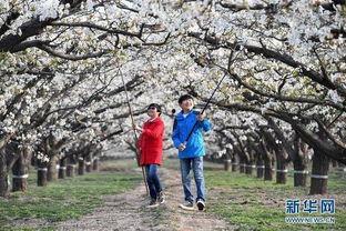 赵县秀才营最新爆料,最新爆料揭示不为人知的背后故事 第2张 赵县秀才营最新爆料,最新爆料揭示不为人知的背后故事 第2张