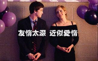 类似爱情在线观看观看,浪漫邂逅，甜蜜瞬间  第2张